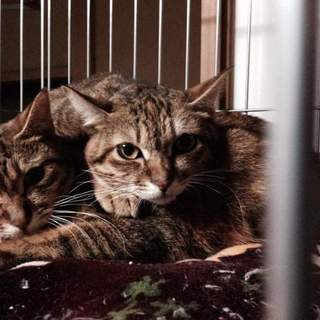 仲良し美人姉妹です♪