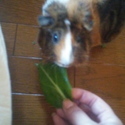 8月7日は「花の日」