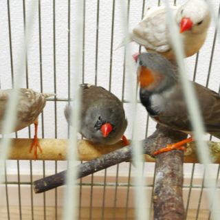 ご応募本当にありがとうございました。