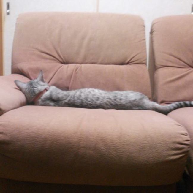 sho_and_miuのカバー写真