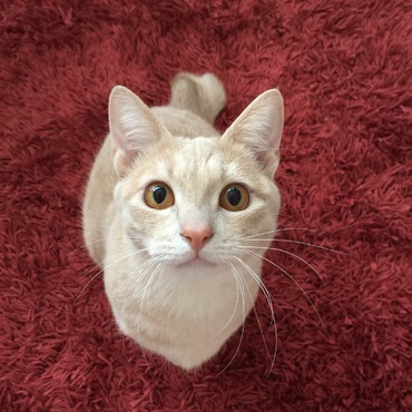 やんちゃなみなみ