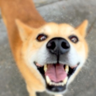 やっとくれた笑顔を消したくない‼︎