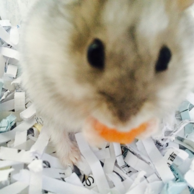 mika0726kのカバー写真