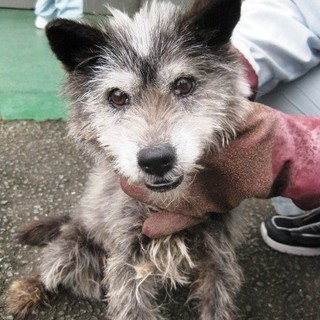 飼い主さんのお迎えがありました。