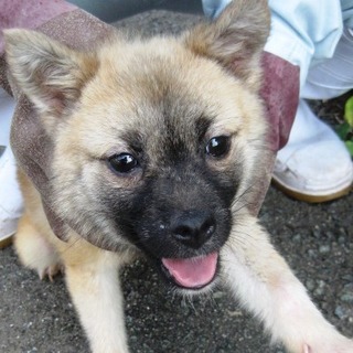 譲渡されました！！