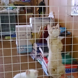 ついにこの時が来てしまった。