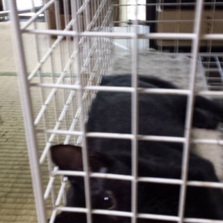 ありがとうございました。