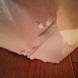 別荘建てました!?