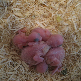 沢山のご応募 ありがとうございました！