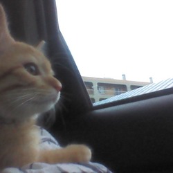 ちょつと旅行気分