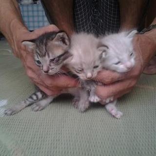 無事決まりました!(^^)!