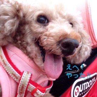 一緒に楽しくなっちゃうリオちゃん