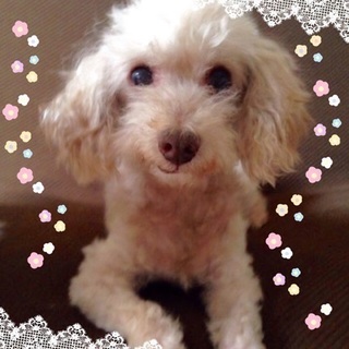 と～っても穏やか女の子☆セイナ