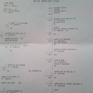 里親みつかりました♪