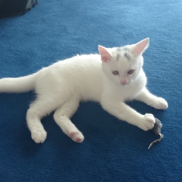 初めての遠出、夏休みは伊東のリゾートマンションで過ごしてます