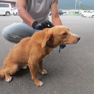 譲渡されました！！