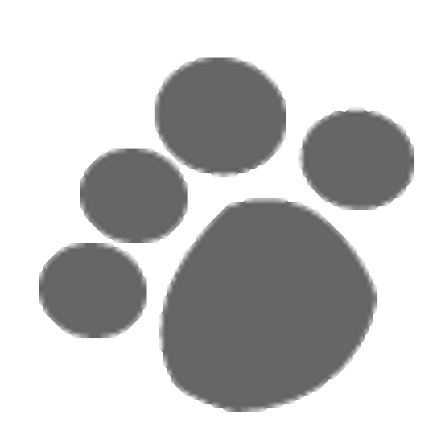 ゆかりりんのカバー写真