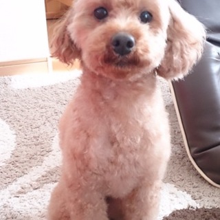 【ありがとうございました！】