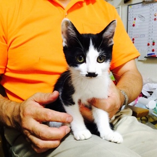 フチコちゃんの里親募集中