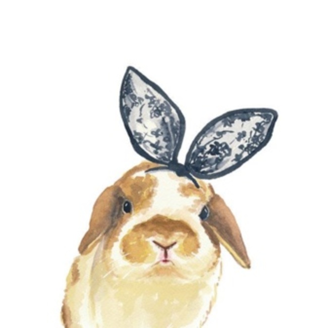 ももあやのカバー写真