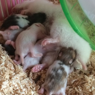 たくさんお問い合わせありがとうございました！