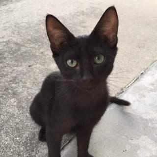 一代限りの大切ないのち。