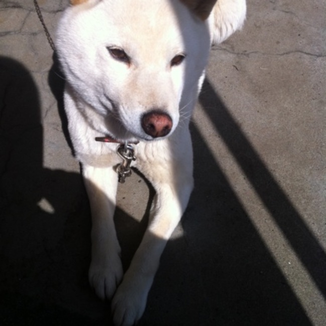 Ree_Oのカバー写真