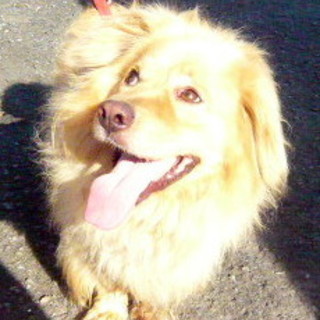 一度会いに来て下さい！！短足がかわいい男の子