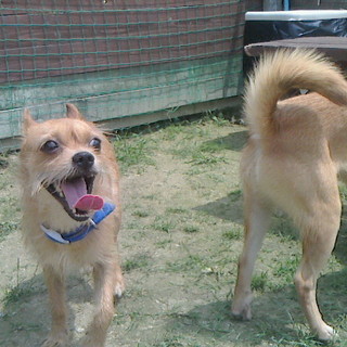 元気な甘えん坊！つぶ君