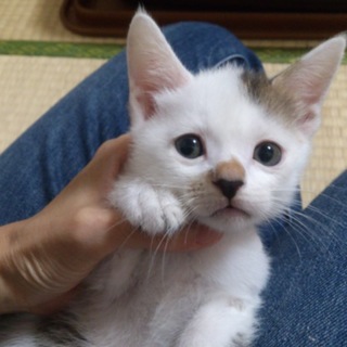 良いご縁で素敵な家族が出来ました(*´▽｀*)