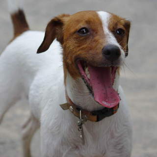 人なつっこい女の子です