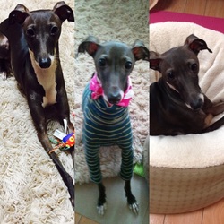 写真うつりは、、、、