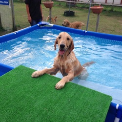 夏だ！プールだ！