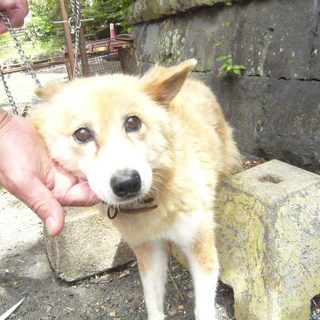 新しい家族ができました！！