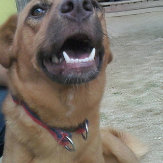 おっとり優しいタケ君