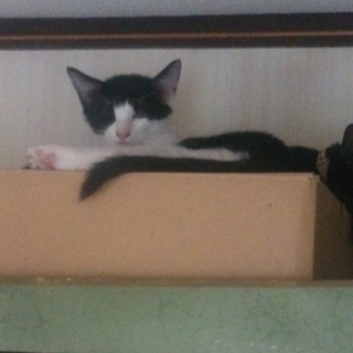 家族になって下さい