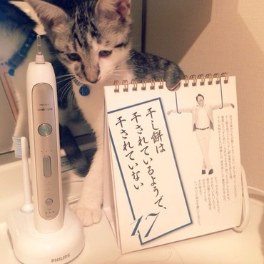 洗面所でいたずら中！