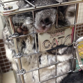 有難う御座いました！