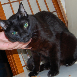 助けて下さい、時間がありません。