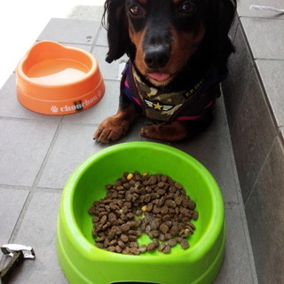 Mﾀﾞｯｸｽﾌﾝﾄﾞ　