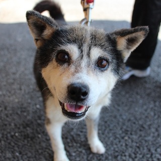 チャーミングな瞳が癒し系☆すずお君です。