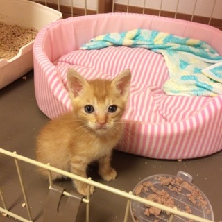 茶太郎愛に飢えてます！