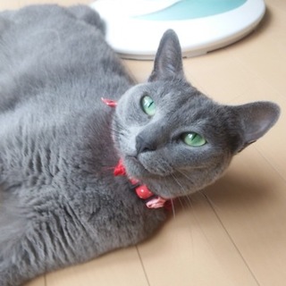 たくさんのご応募ありがとうございました！