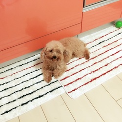 うちのお嬢さん