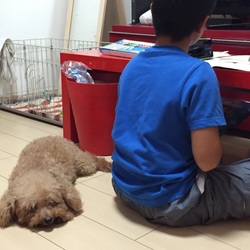 「うちのお嬢さん」サムネイル2