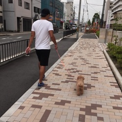 「うちのお嬢さん」サムネイル3