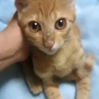 健康チェック済＊3ヶ月男の子＊太陽のような明るい子