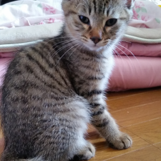 大切に育ててください①