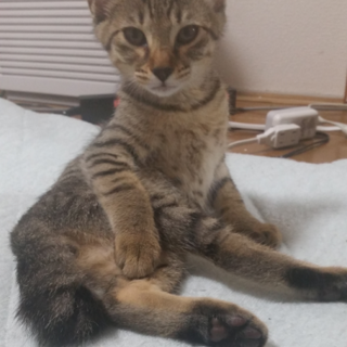 大切に育ててください②