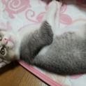 大切に育ててください③